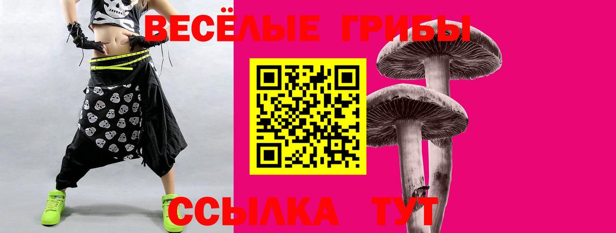 Галлюциногенные грибы Psilocybine cubensis  Вход с VPN  Ленинск-Кузнецкий 